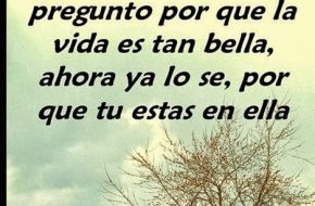 Imagenes Los Sentimientos mas sinceros estan en el corazon sano