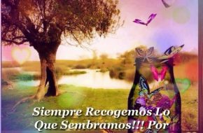 Postales para motivar