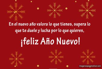 Frases cortas de año nuevo.